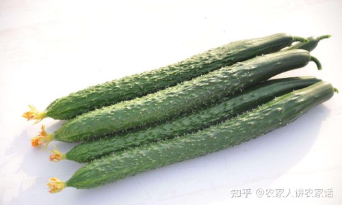 中药调理便秘网- 可以根治吗知识,分享中药调理便秘需要多久